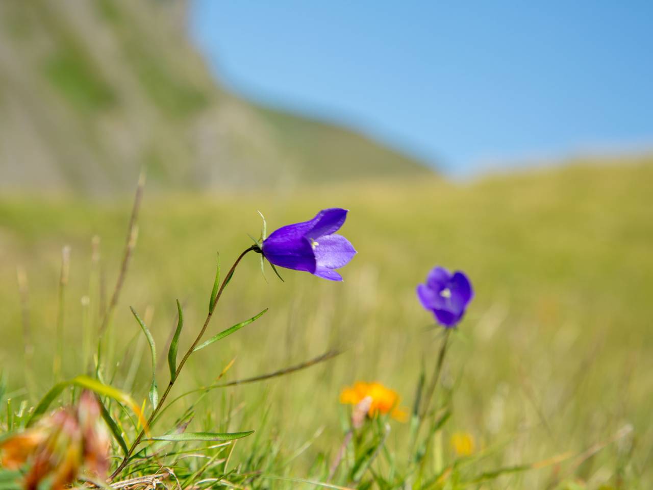 Sed diam nonumy eirmod tempor